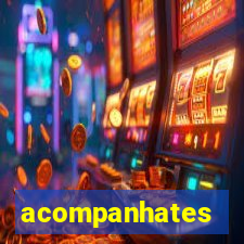 acompanhates travesti em sp